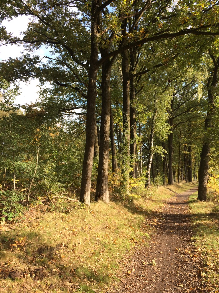 Natuur in Geldrop-Mierlo