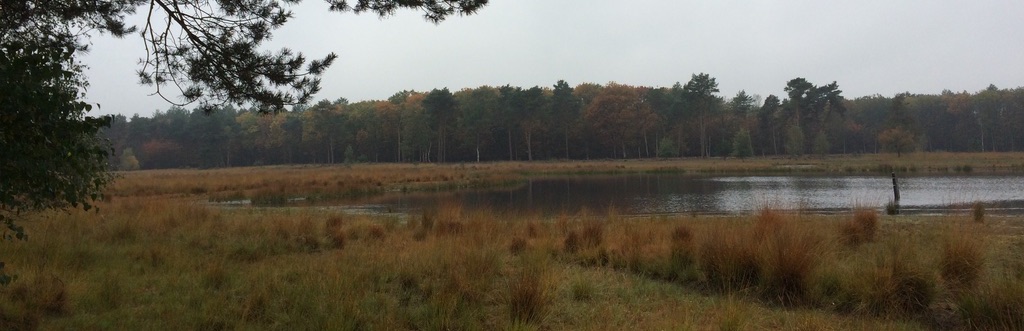 Natuur in Geldrop-Mierlo