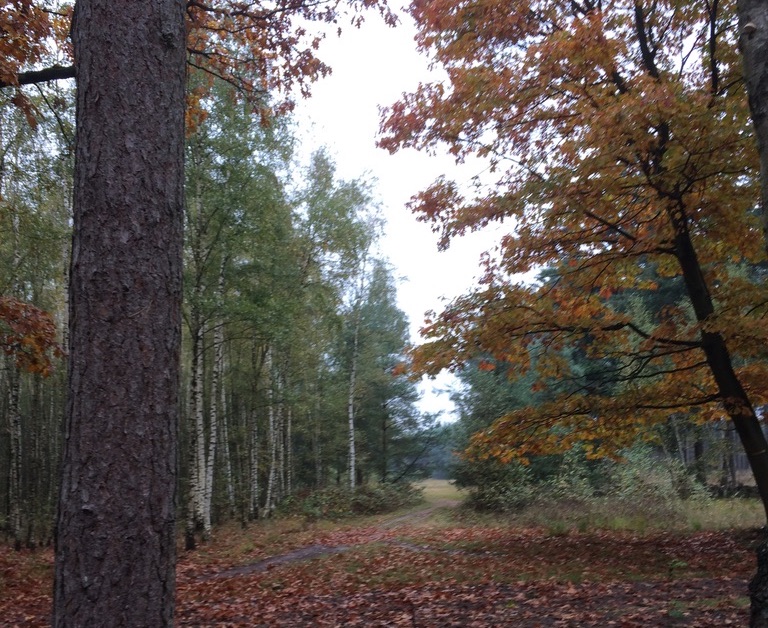 Natuur in Geldrop-Mierlo