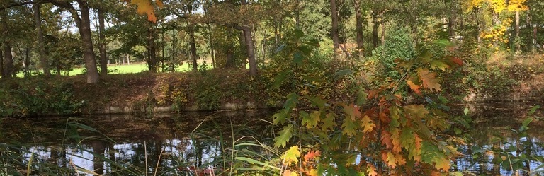 Natuur in Geldrop-Mierlo